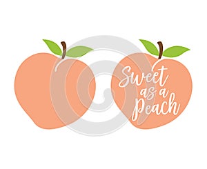 Simple Cute Peach with Leaves Vector Illustration